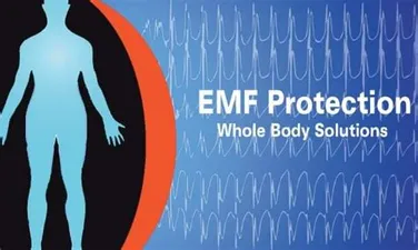 whole body emf protection